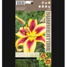 Лилиум Viva la vida - 1 бр луковицa