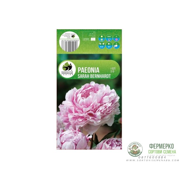 Божур Paeonia Sarah Bernhardt - 1 бр луковицa