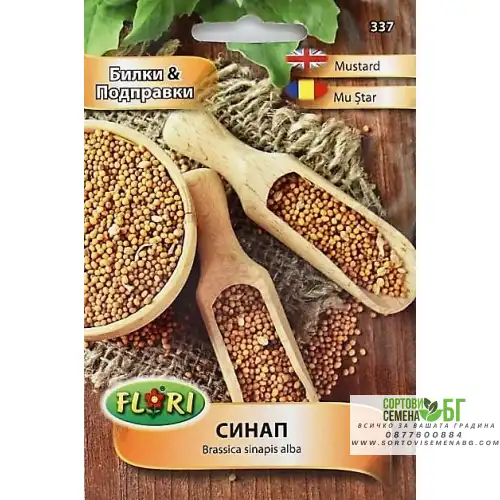 Синап / Brassica sinapis alba