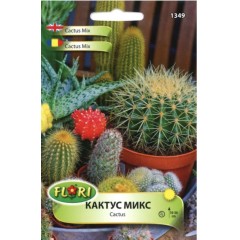 Кактус микс Cactus mix