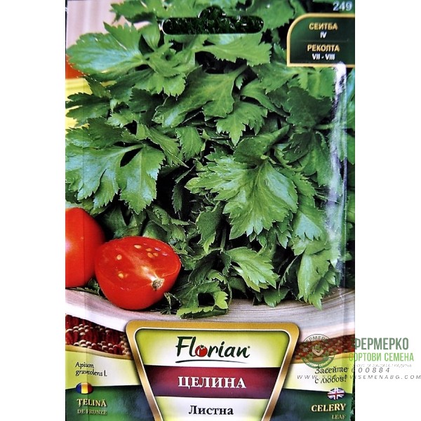 Целина Листна