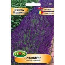 Лавандула Lavandula angustifolia