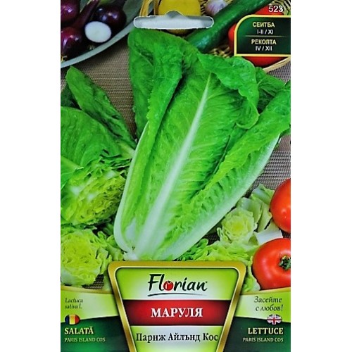 Маруля Париж Айлънд Кос