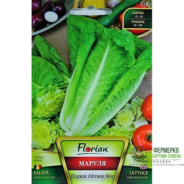 Маруля Париж Айлънд Кос