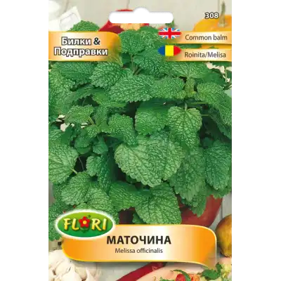 Маточина / Melissa officinalis