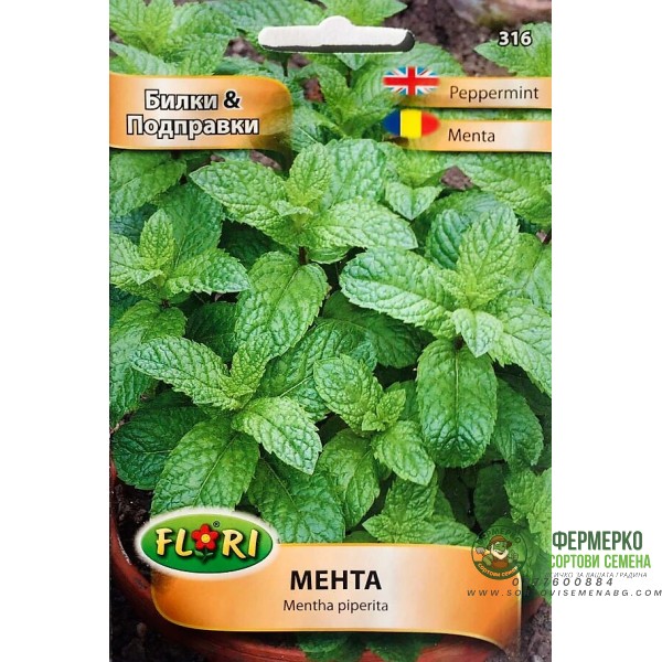 Мента Mentha piperita