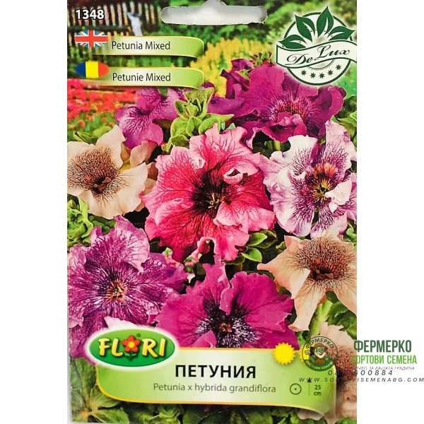 Петуния пъстра микс Petunia x hybrida grandiflora veined mix