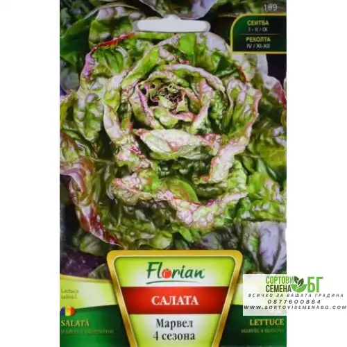 Салата Марвел 4 Сезона Салата Марвел 4 Сезона