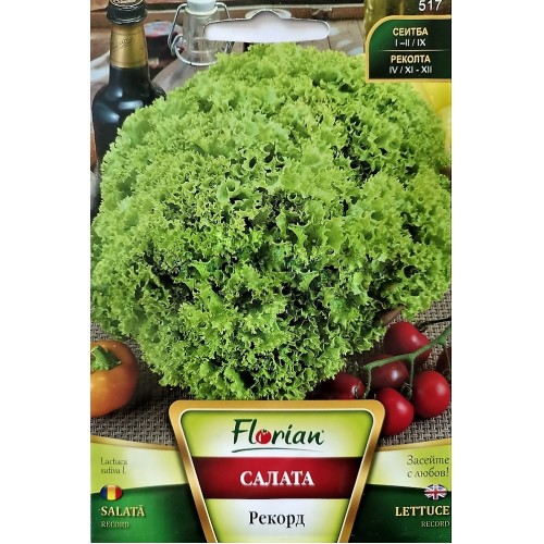 Салата Рекорд