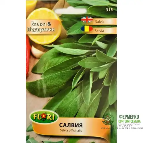 Салвия / Salvia officinalis