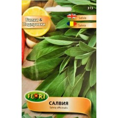 Салвия Salvia officinalis