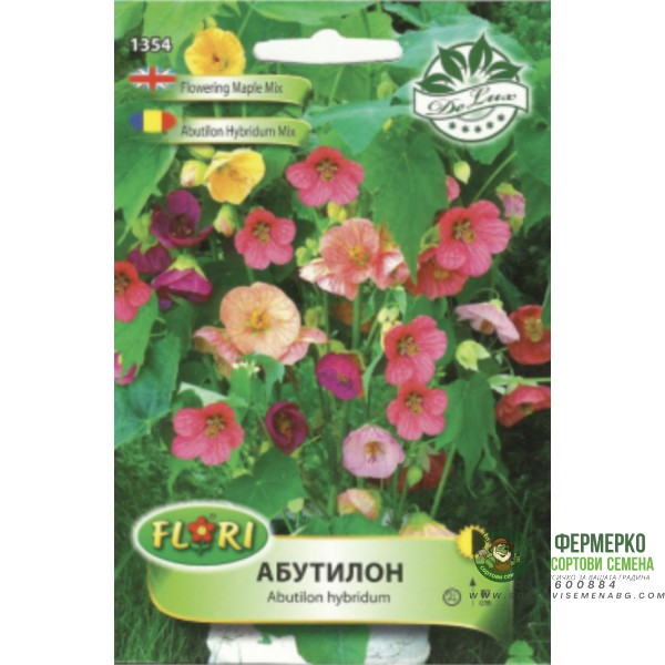 Абутилон (Стаен клен) микс Abutilon hybridum mix
