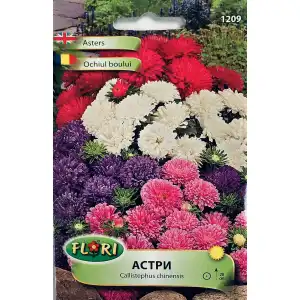 Астри Мини Микс