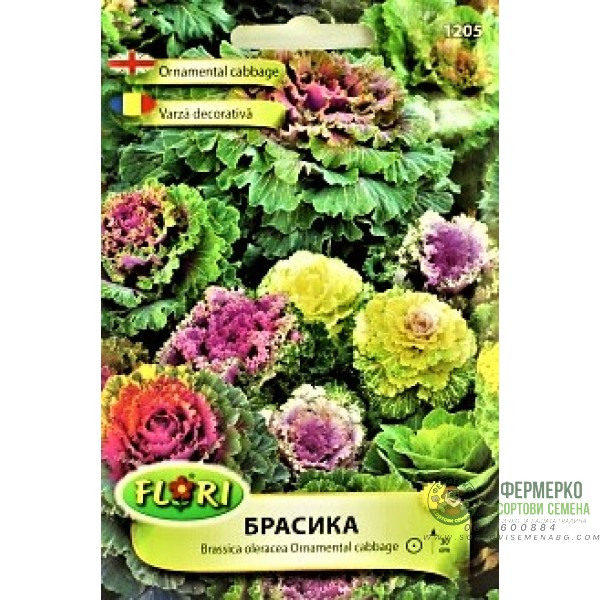 Брасика, Декоративно зеле