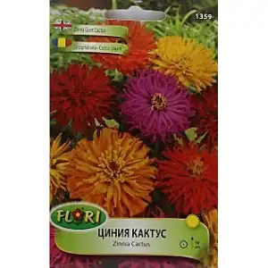Циния кактус микс / Zinnia cactus