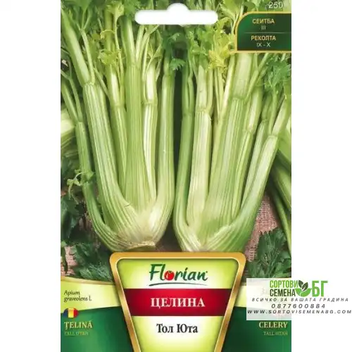 Целина Дръжкова Тал Юта