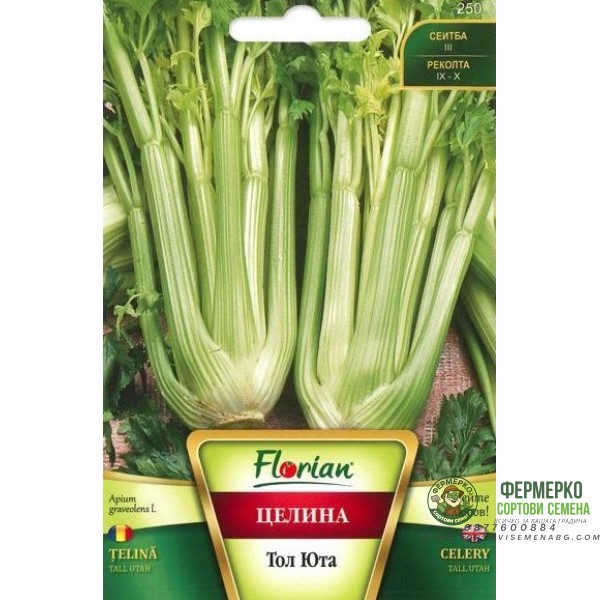 Целина Дръжкова Тал Юта