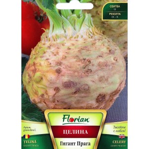 Целина (главеста) Гигант Прага