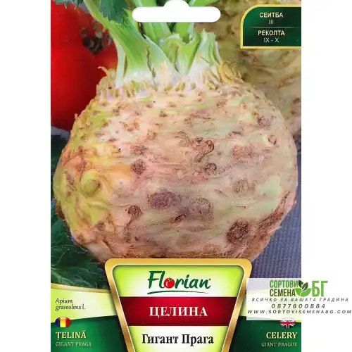 Целина (главеста) Гигант Прага Целина (главеста) Гигант Прага