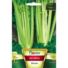 Целина Дръжковидна Паскал