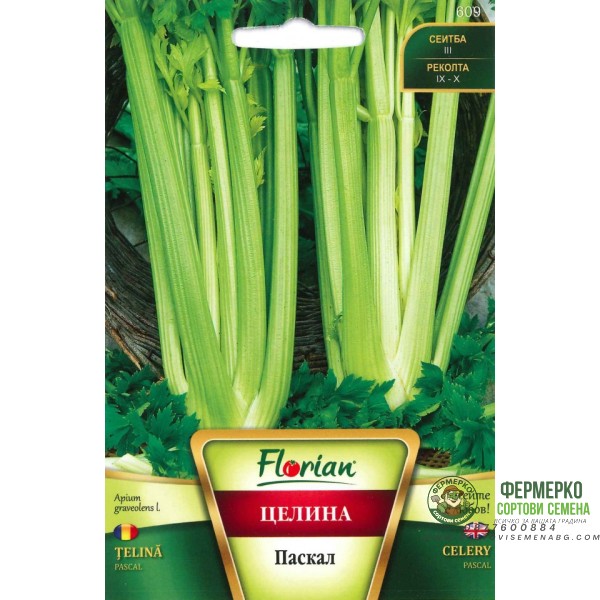 Целина Дръжковидна Паскал