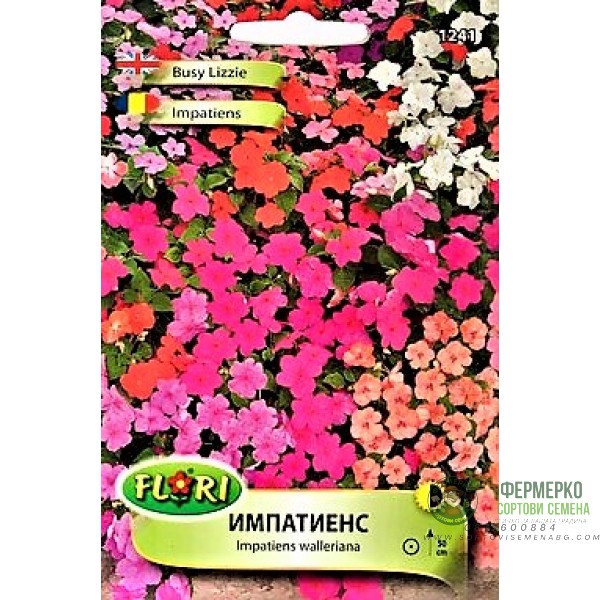 Импатиенс (Циганче)