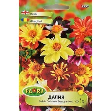 Семена за Далия