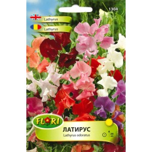 Декоративен грах, Латирус