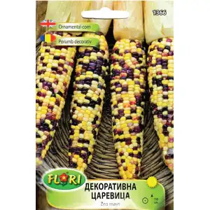 Декоративна царевица