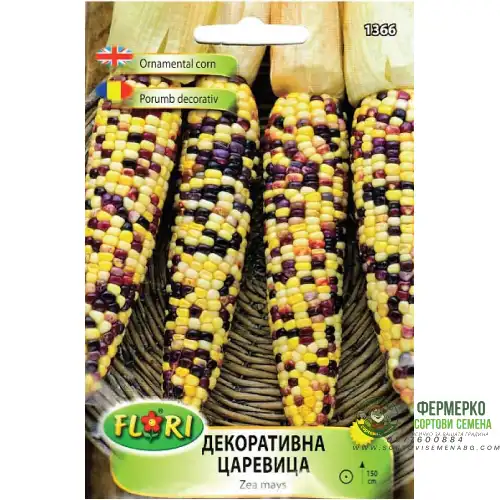 Декоративна царевица