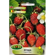 Декоративни Ягода Fragaria × ananassa