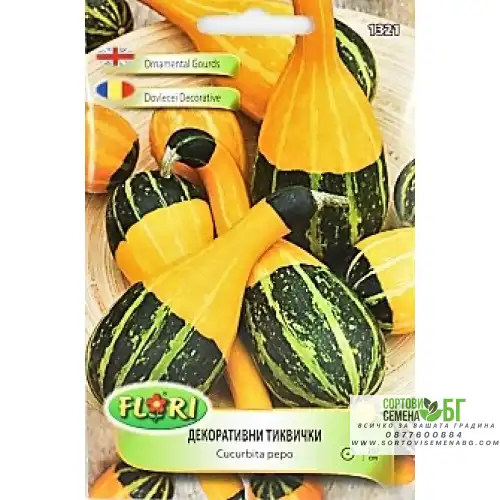 Декоративни тиквички / Cucurbita pepo Декоративни тиквички / Cucurbita pepo