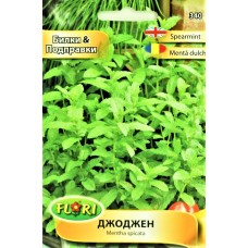 Джоджен Mentha spicata