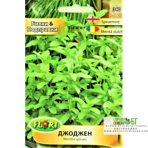 Джоджен / Mentha spicata Джоджен / Mentha spicata