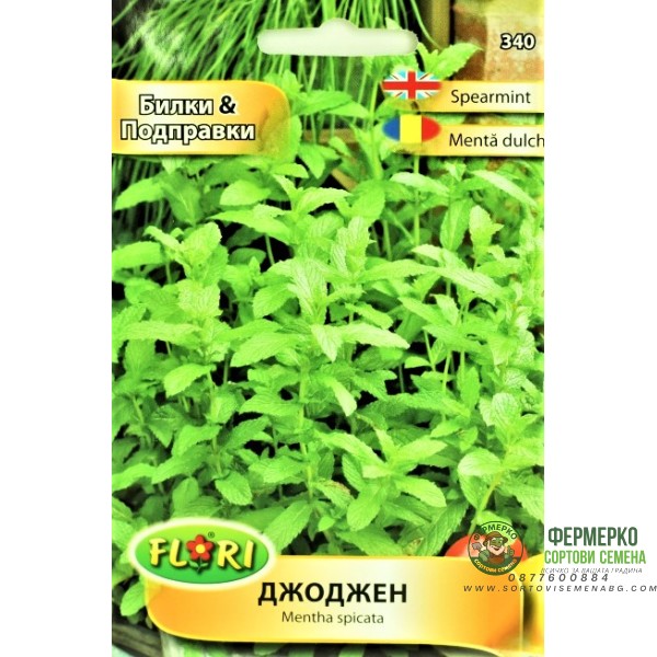 Джоджен Mentha spicata