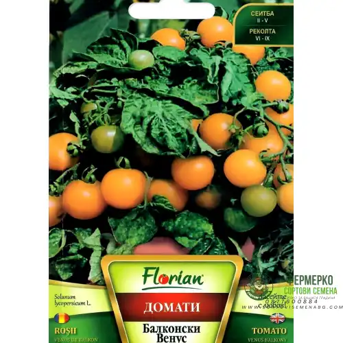 Домат Балконски Венус