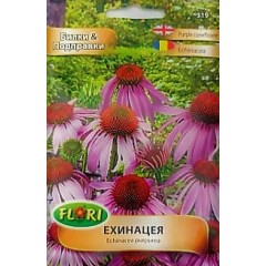 Ехинацея Ehinacea purpurea