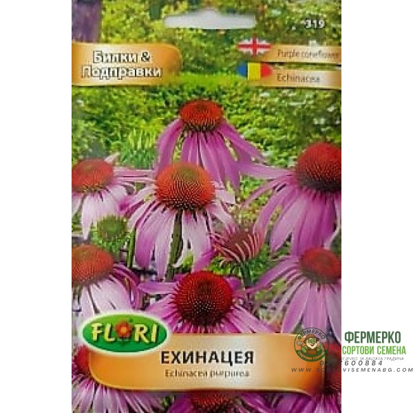 Ехинацея Ehinacea purpurea