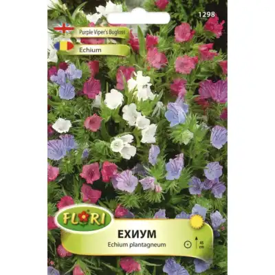 Ехиум (Усойниче) Echium plantagineum