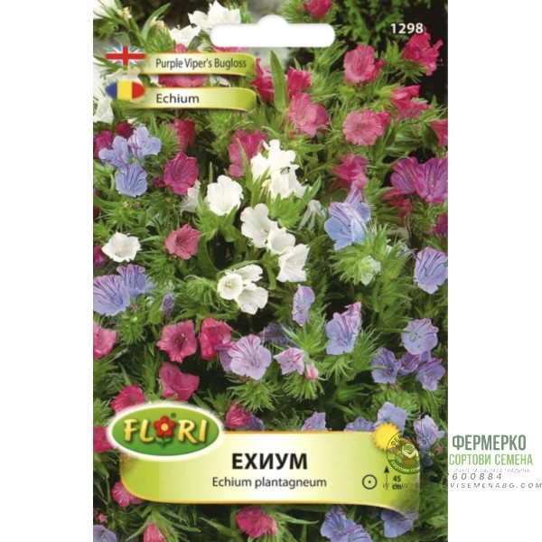 Ехиум (Усойниче) Echium plantagineum