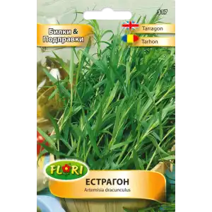 Естрагон (Тарагон) / Artemisia dracunculus