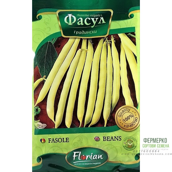 Фасул Берголд (жълт, цилиндричен, нисък)