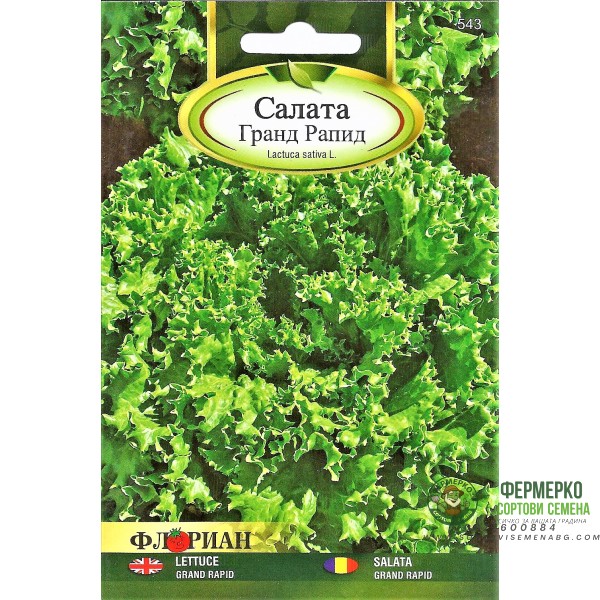 Салата Гранд Рапид