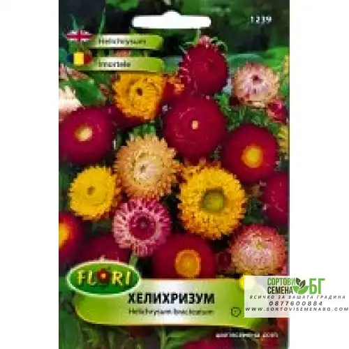 Хелихризум Хелихризум