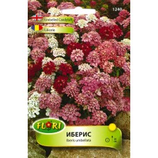 Иберис микс Iberis umbellata