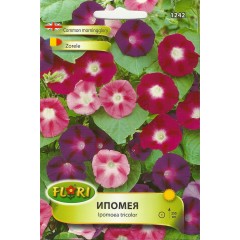 Ипомея Смес