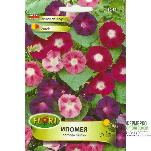 Ипомея Смес