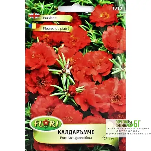 Калдаръмче Оранжево Калдаръмче Оранжево