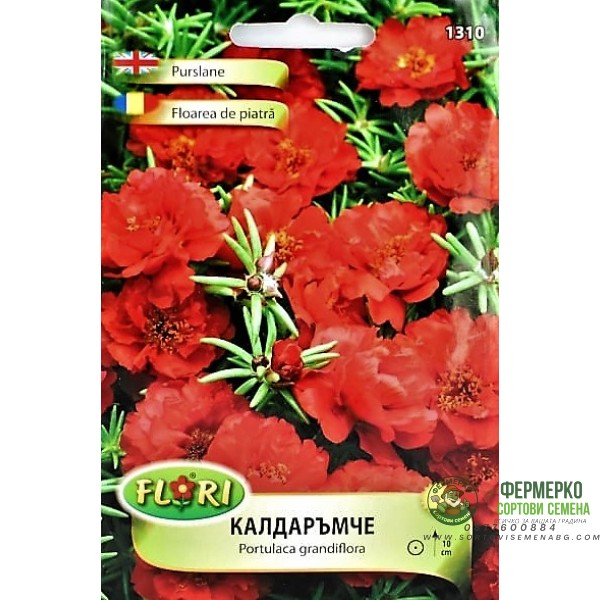 Калдаръмче Оранжево