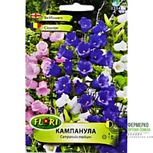 Кампанула (Камбанка)